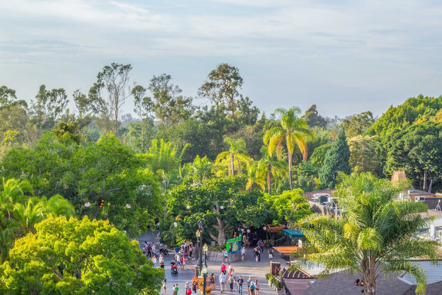 San Diego Zoo vs. Safari Park - Aerial views of the San Diego Zoo from the Skyfari Aerial Tram.