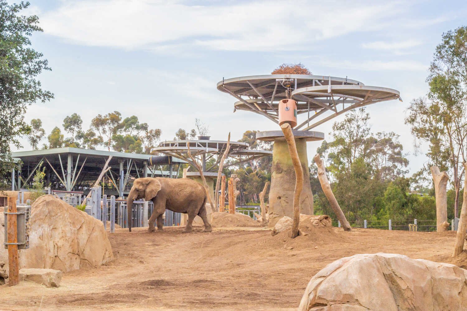 San Diego Zoo vs. Safari Park - Elephant Odyssey exhibit inside the San Diego Zoo.