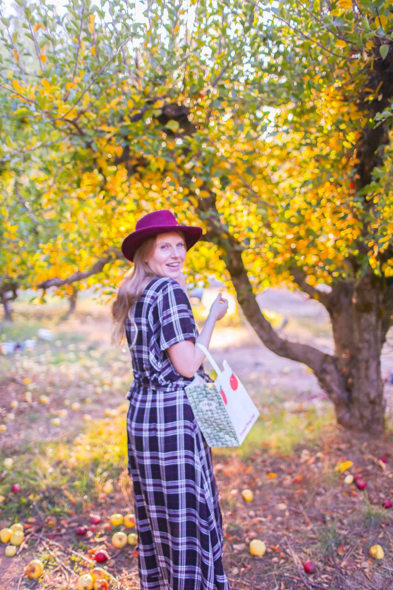 Autumn Hashtags for Fall Themed Content - Apple Picking in Apple Hill just outside Sacramento, California.