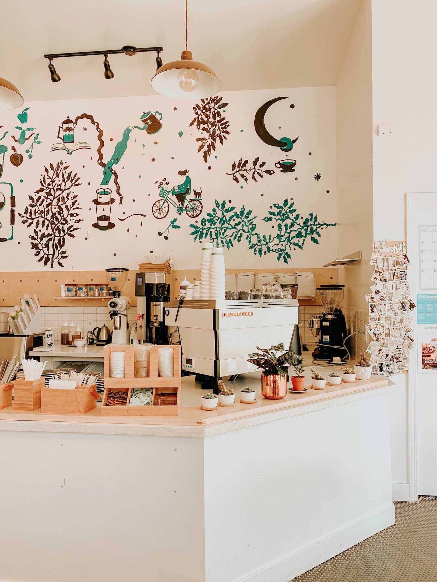 Top 10 Instagrammable Places in San Jose - Academic Coffee Company