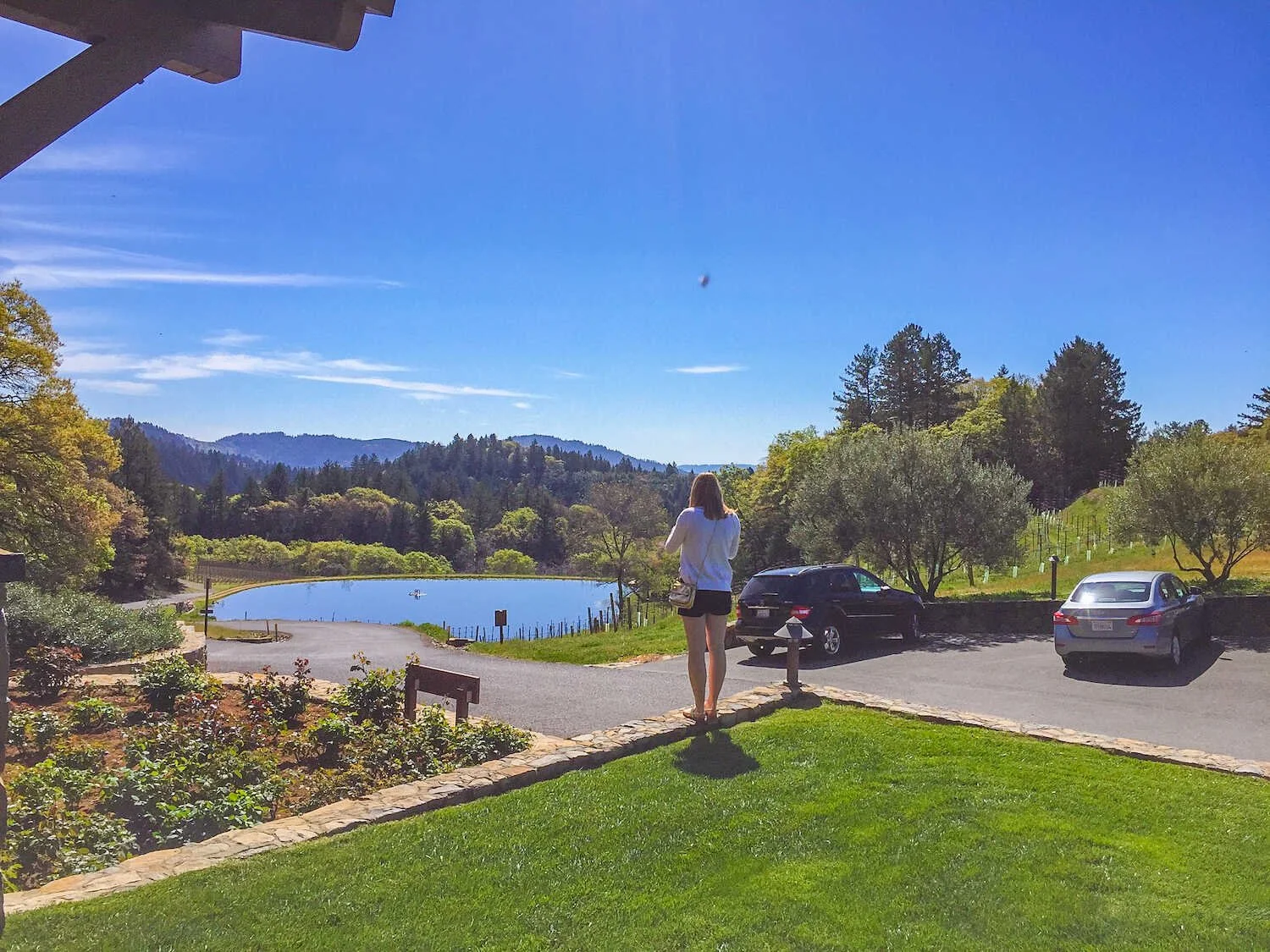 Most Instagrammable Places in Napa Valley - View of Pride Mountain vineyards.