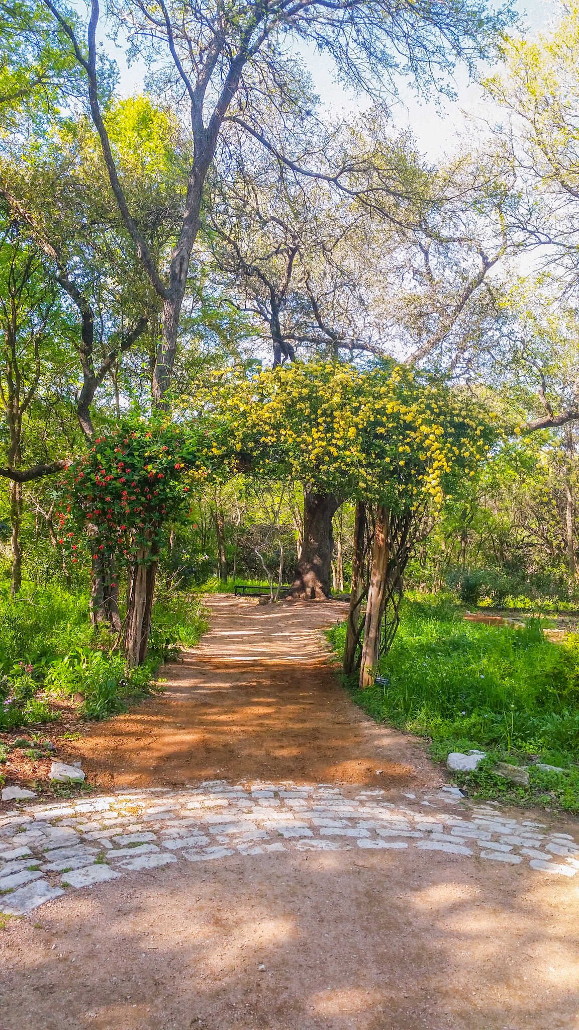 Are Dogs Allowed At Zilker Botanical Gardens
