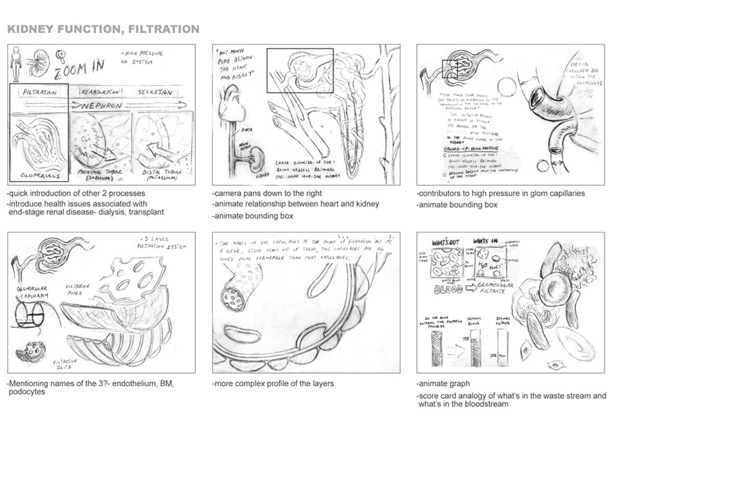 Animation initial concept storyboard