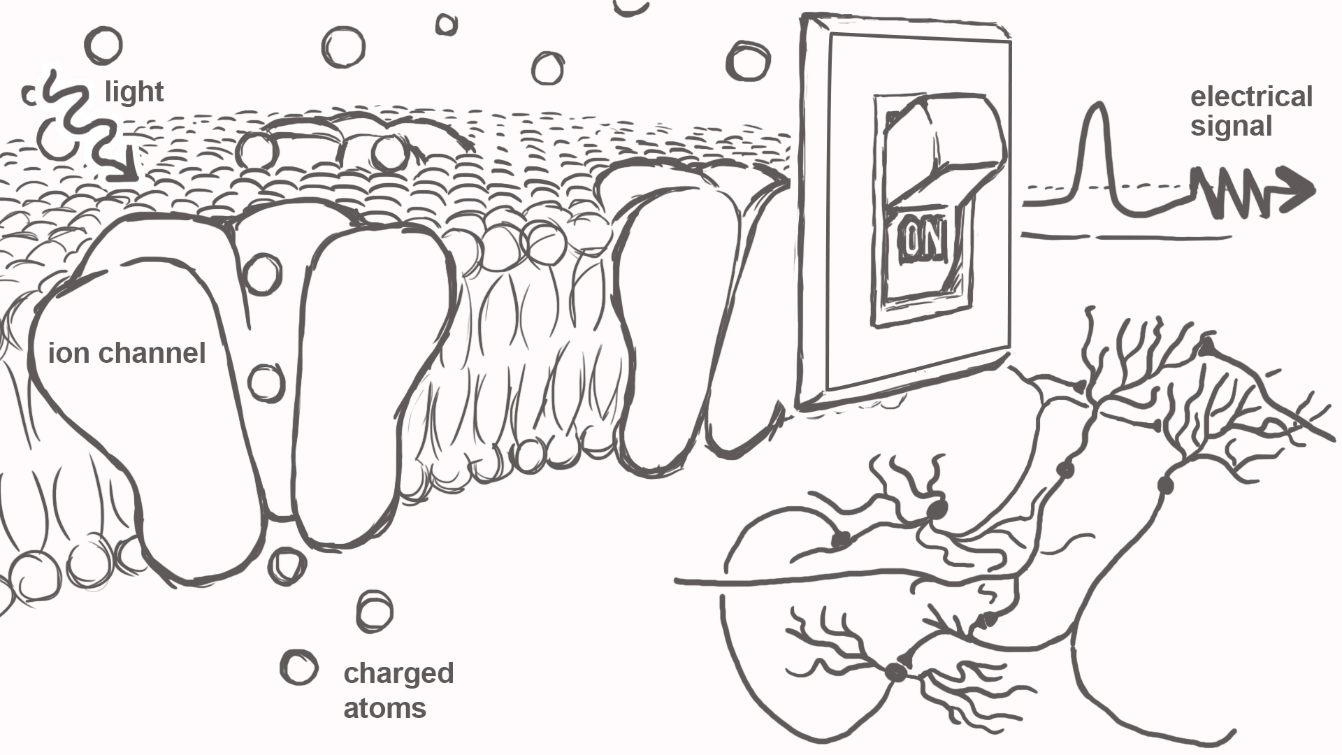 Animation storyboard frame