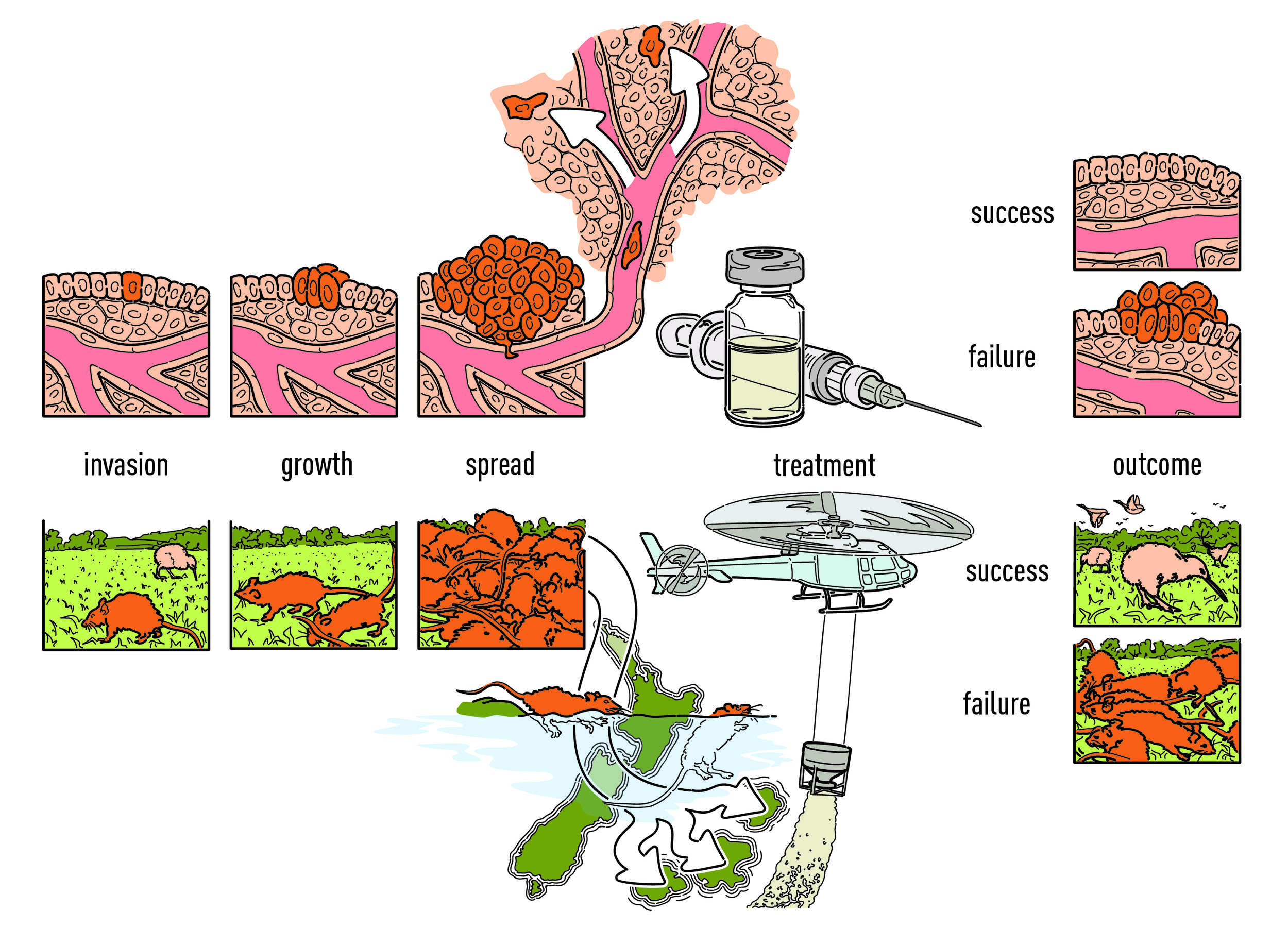 Treating Cancer as an Invasive Species, journal article abstract