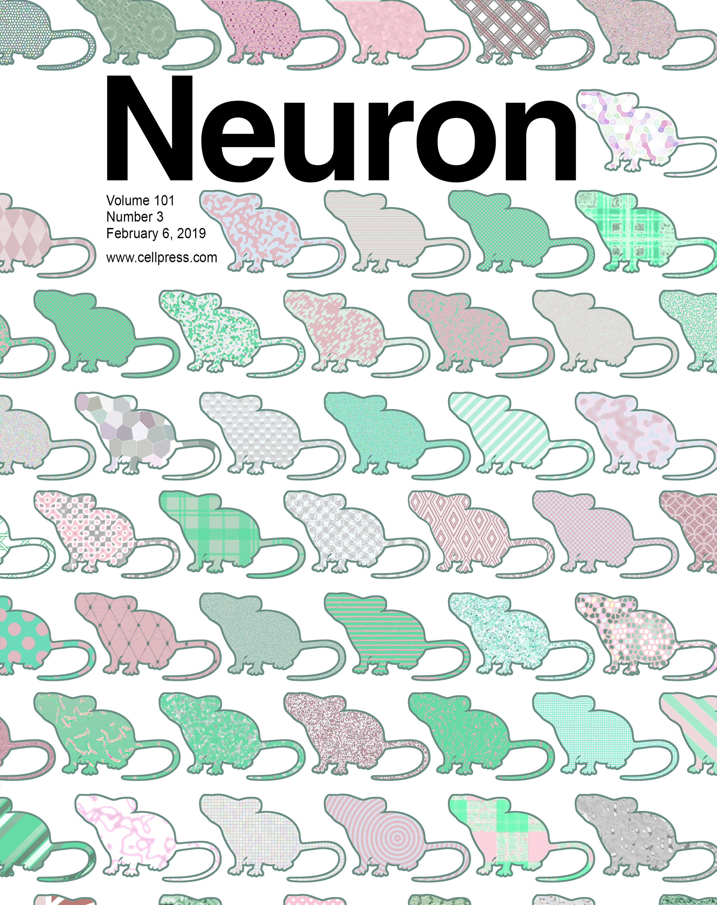 Neuron, Cell Press journal cover illustration