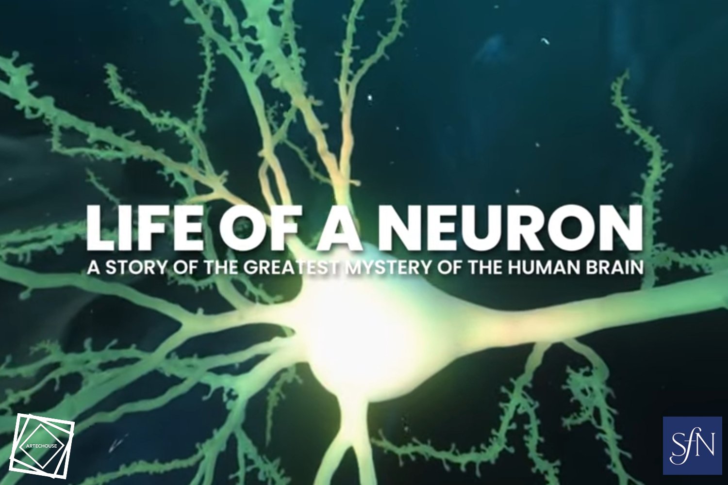 Life of a Neuron exhibition, promotional image