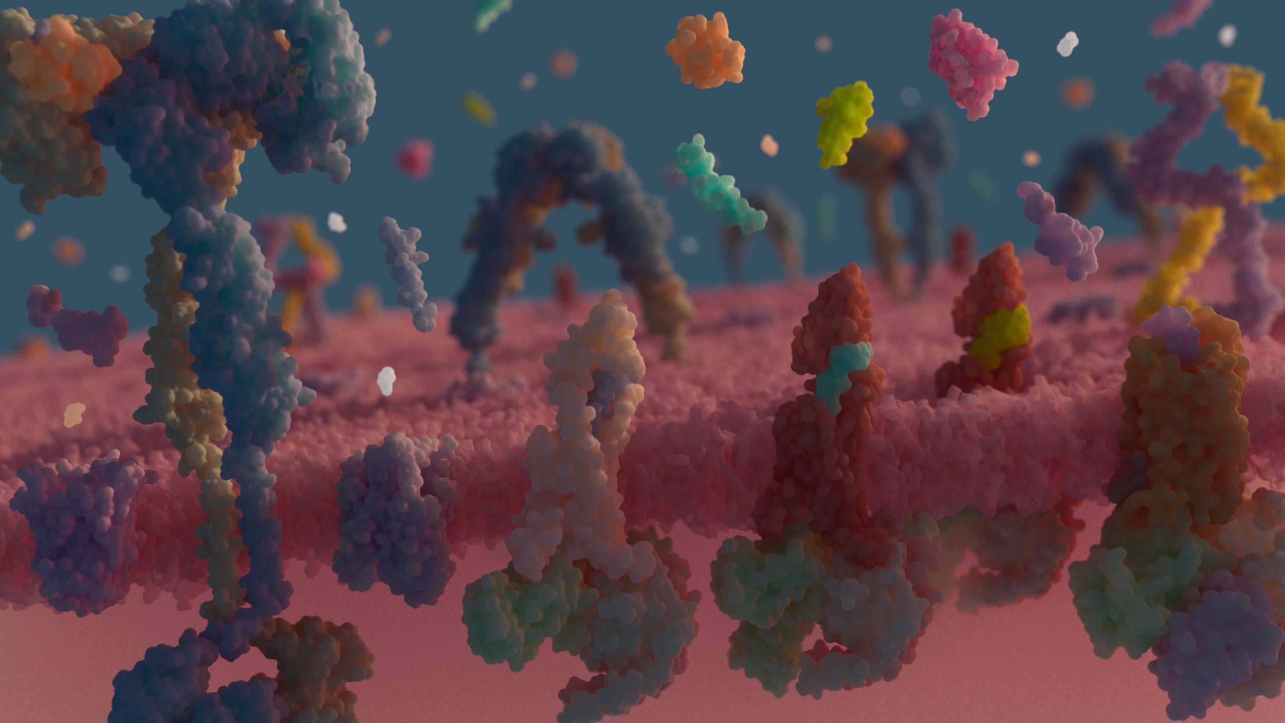 metabolic receptors within the small intestines