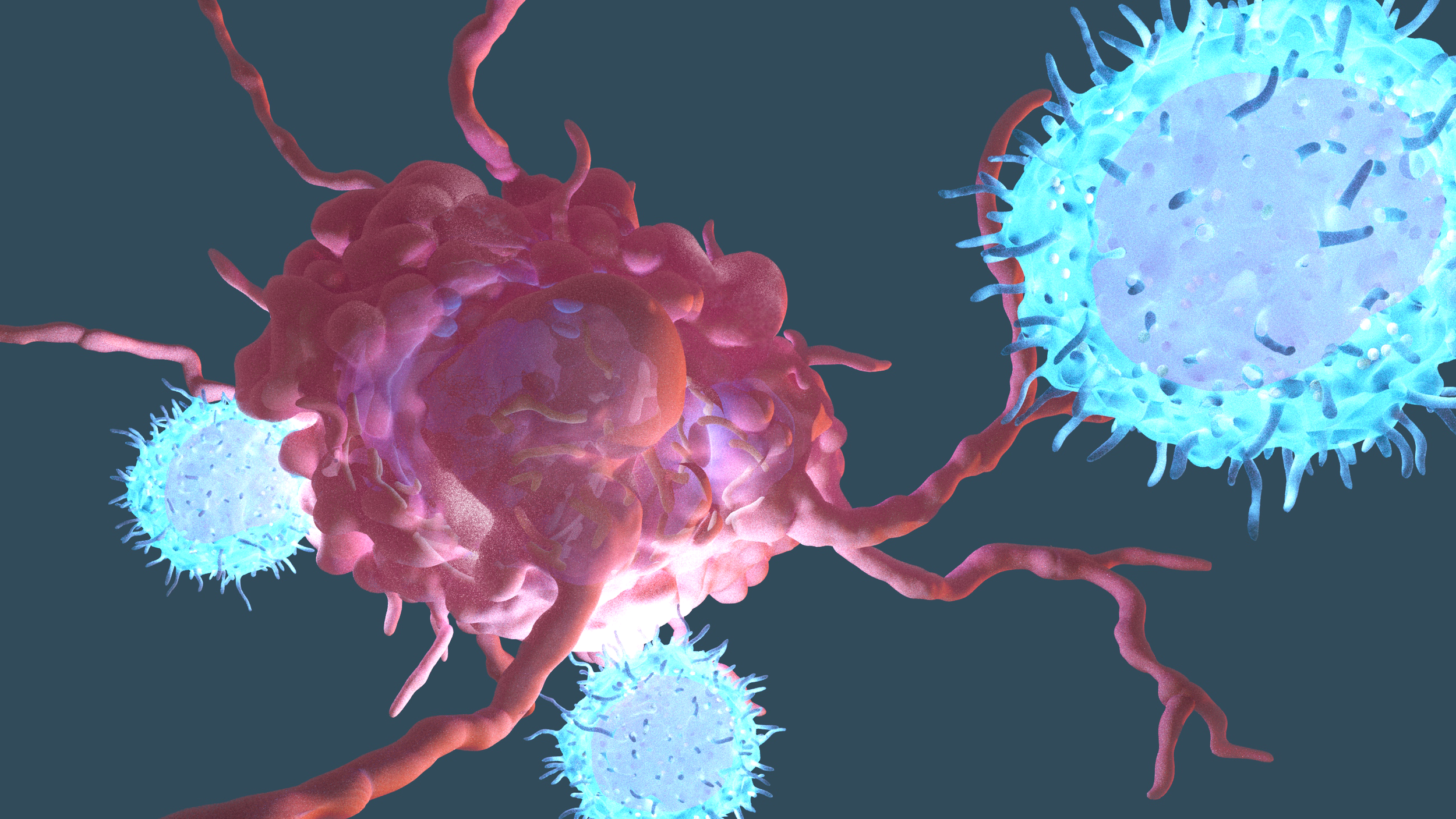 Cancer cell being attacked by cytotoxic T cells