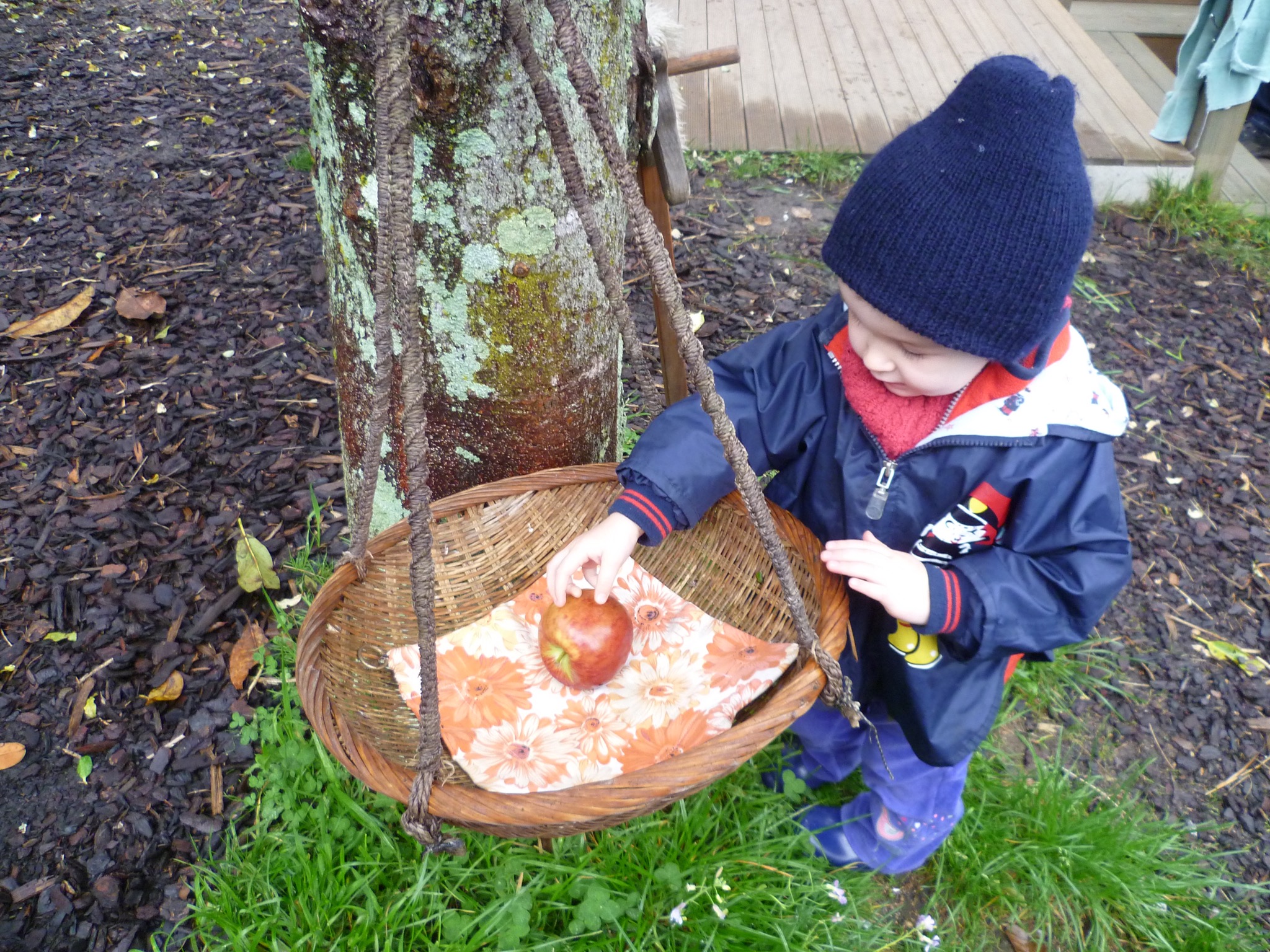 Fruit goes in the basket.jpg