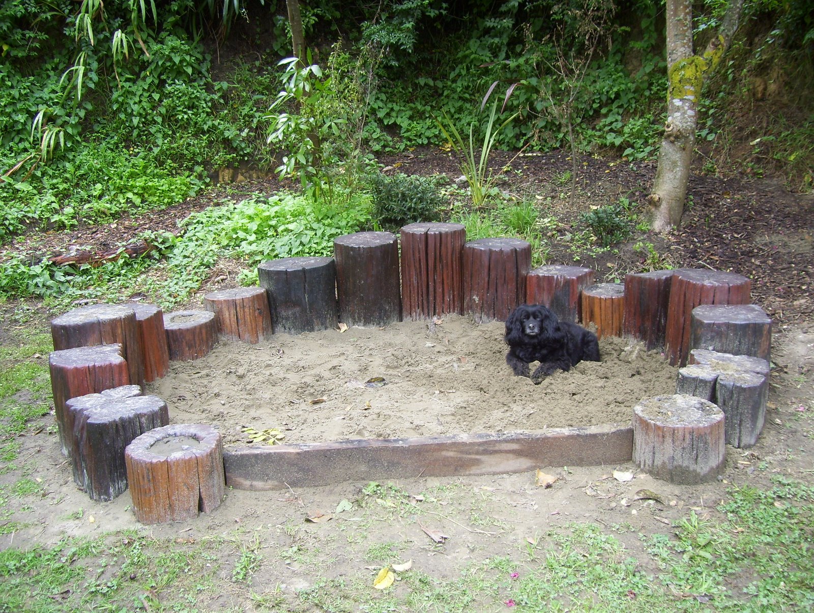 119.JPG