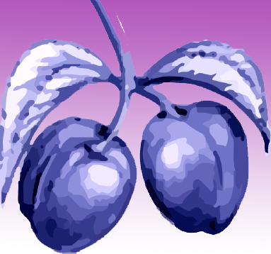 PlumLogoGradiant.png