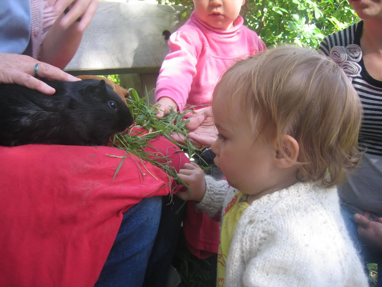 scarlett'sbirthday 059.jpg