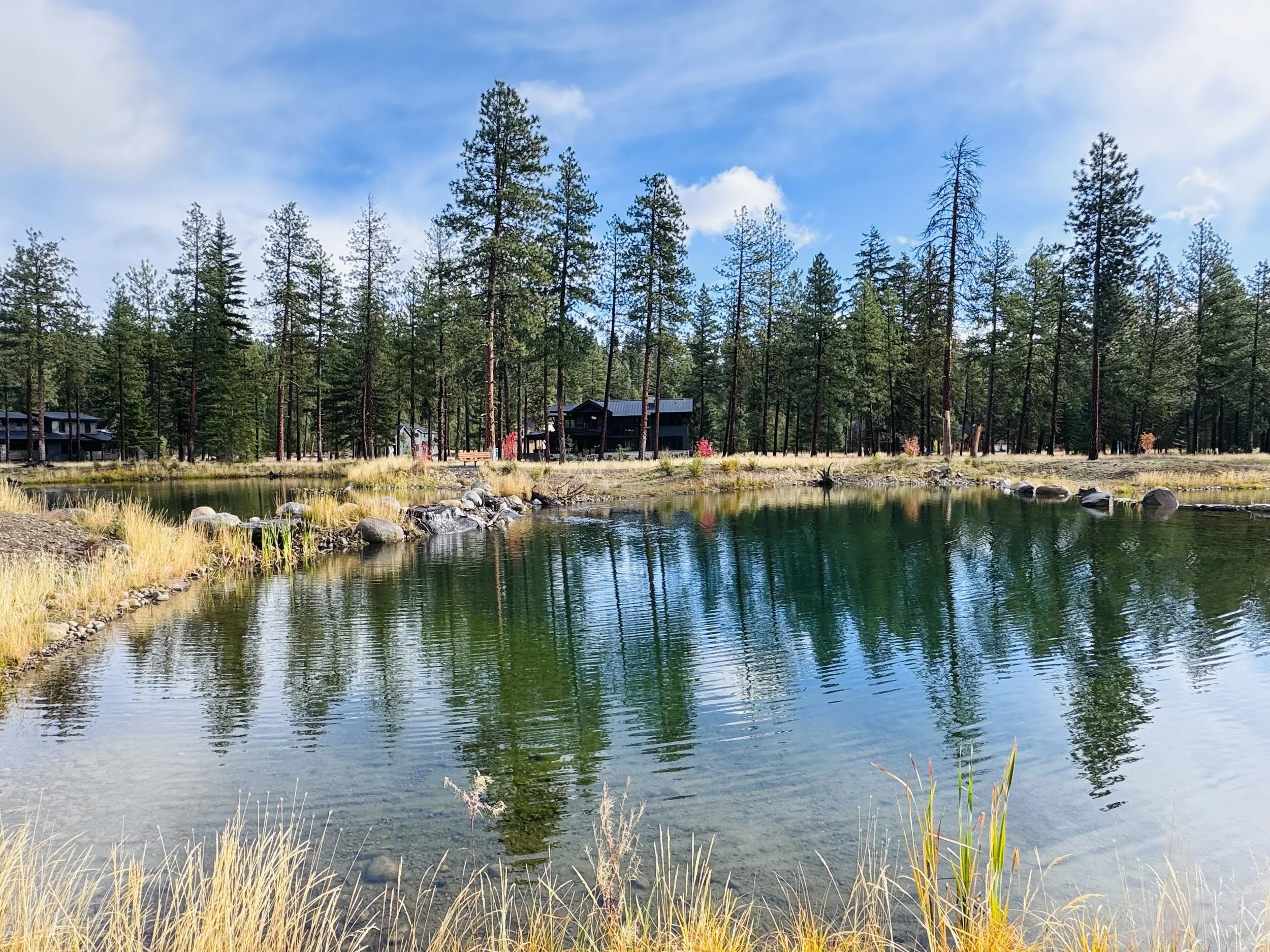 Lake 1.jpeg