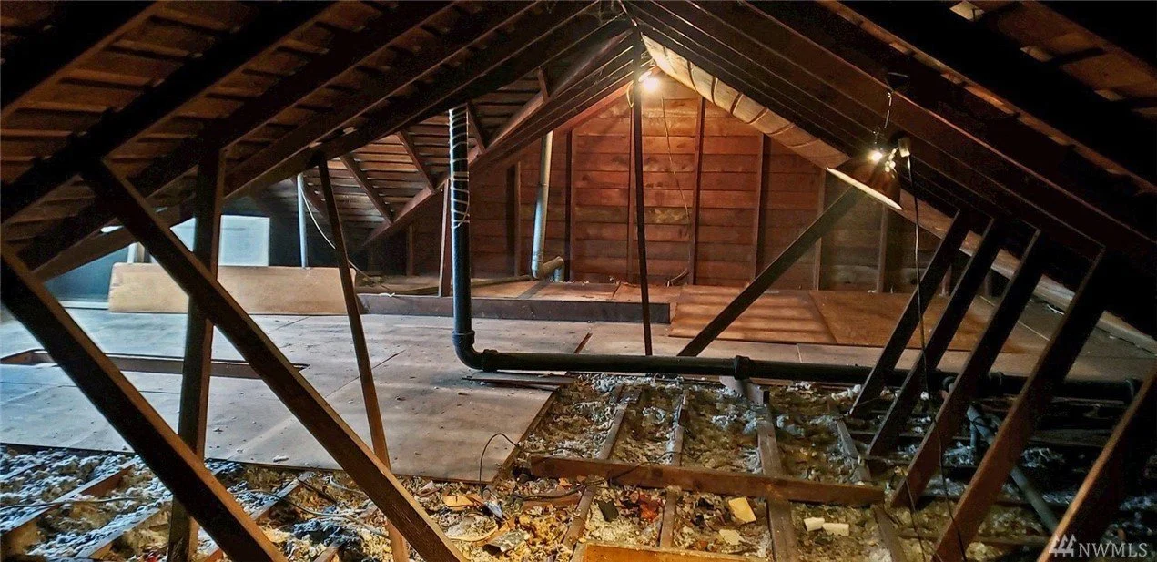 Original Unfinished Attic