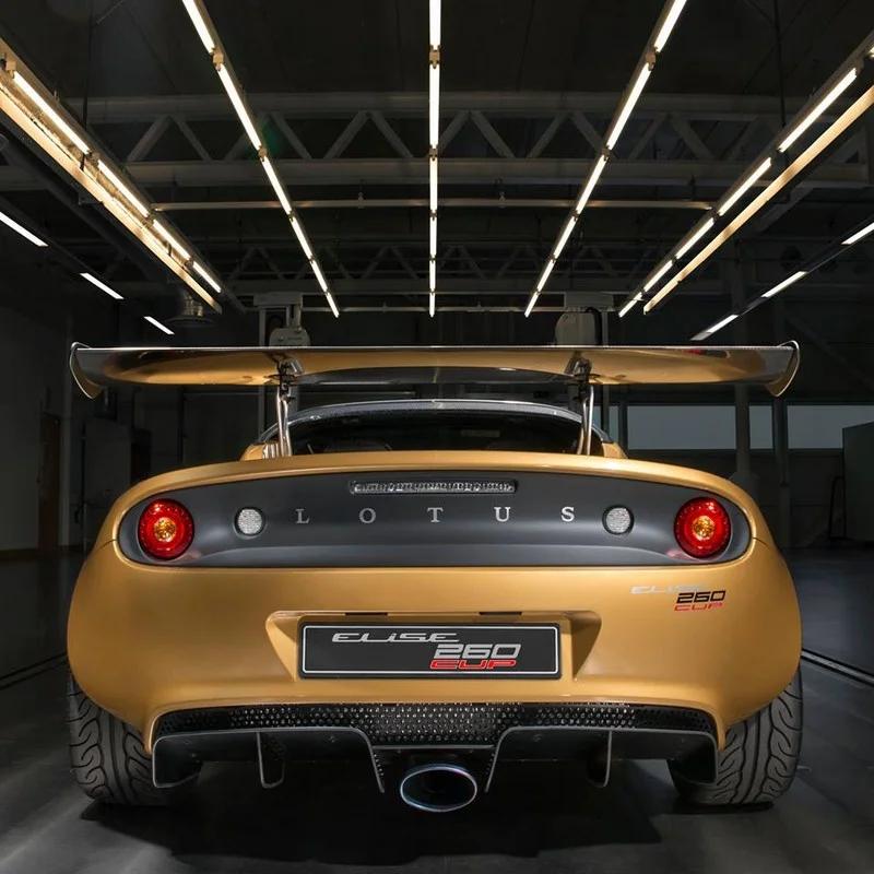 lotus1.jpg