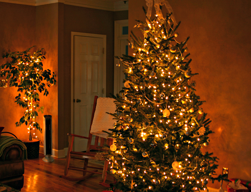 Tree1.jpg