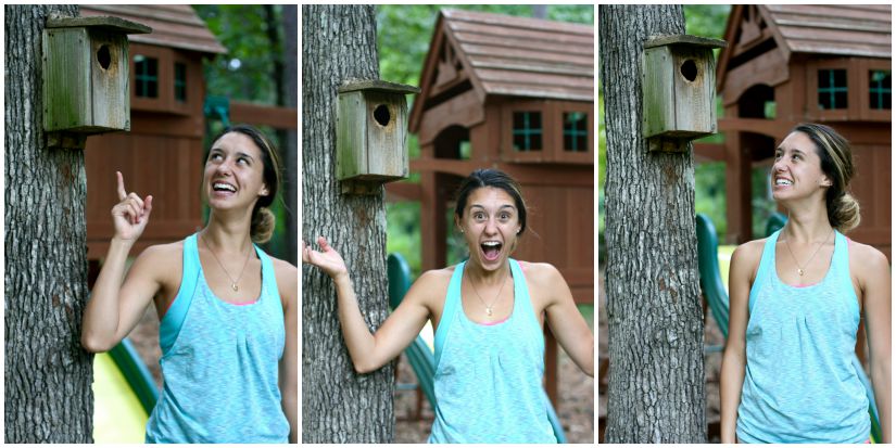 I knew this house was The One when I went into the backyard. There are at least ten birdhouses tucked in the trees! Back in January, I vowed to birdwatch as part of my New Year's Resolutions , so walking through this yard and seeing all these rustic wooden birdhouses was A SIGN. I love watching birds. And now I have homes for them! Guys, I'm not a cat lady. So bird watching is okay. I think you can only be into one of them, otherwise that's crossing into some testy territory...