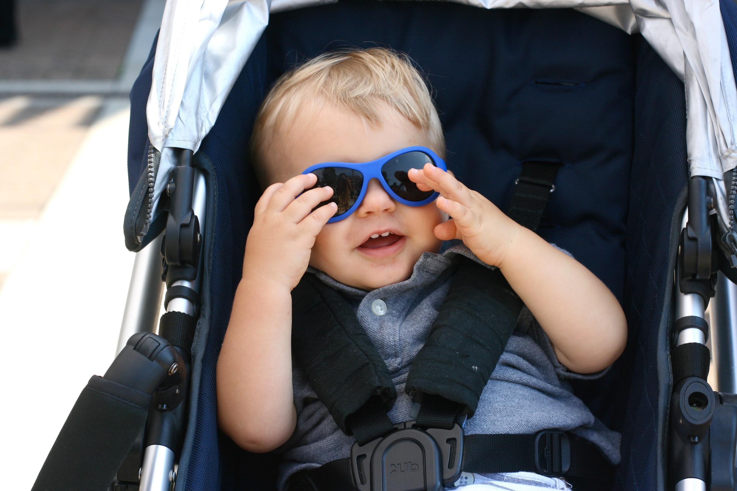 Everett's Babiators , a birthday gift from his buddy Evie.