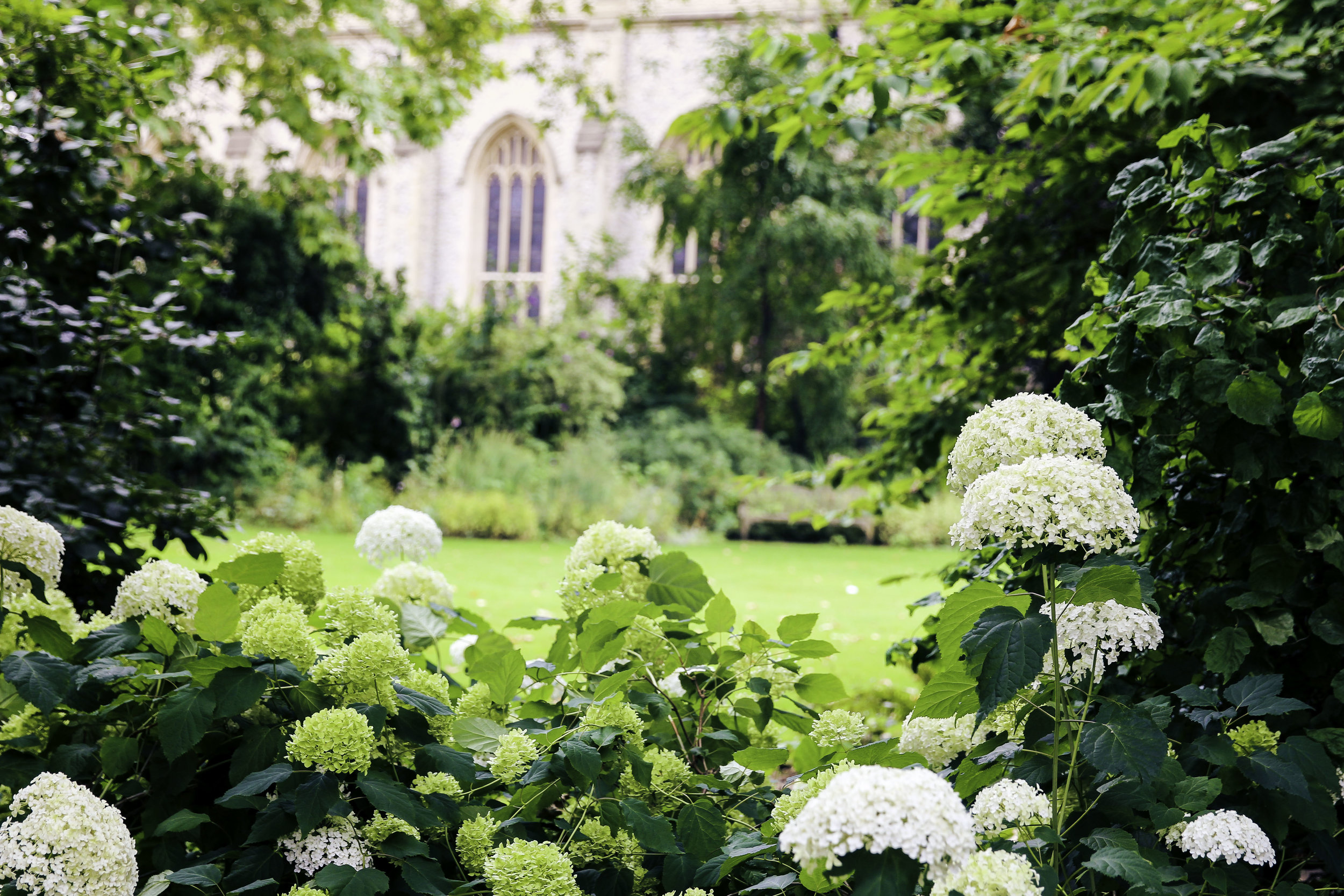 In Chelsea, there were private gardens every block or so that was just for the residents of the surrounding buildings. They looked like enchanted gardens, every last one of them. We peeked through the gates and just sighed.
