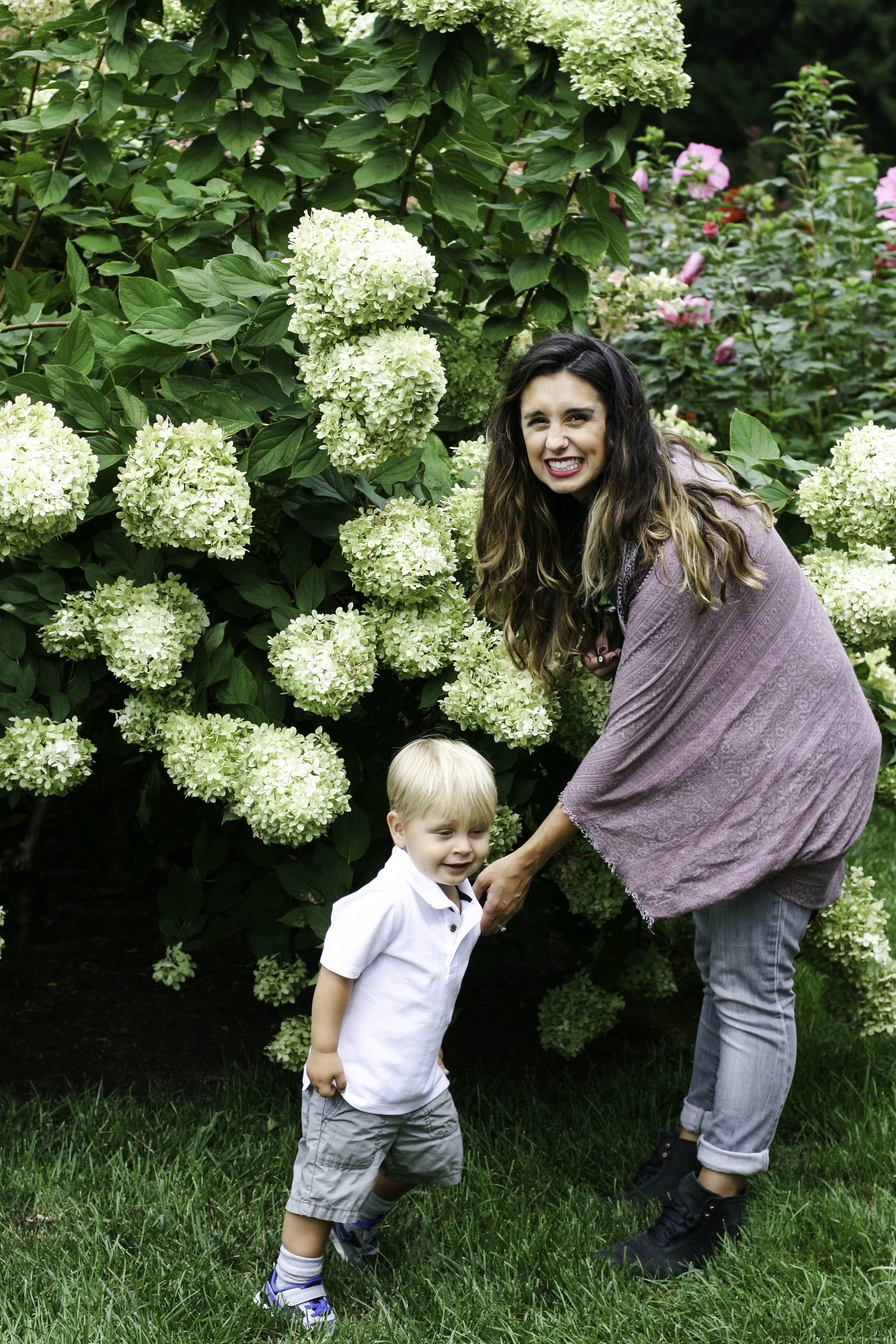 Hydrangea goals.