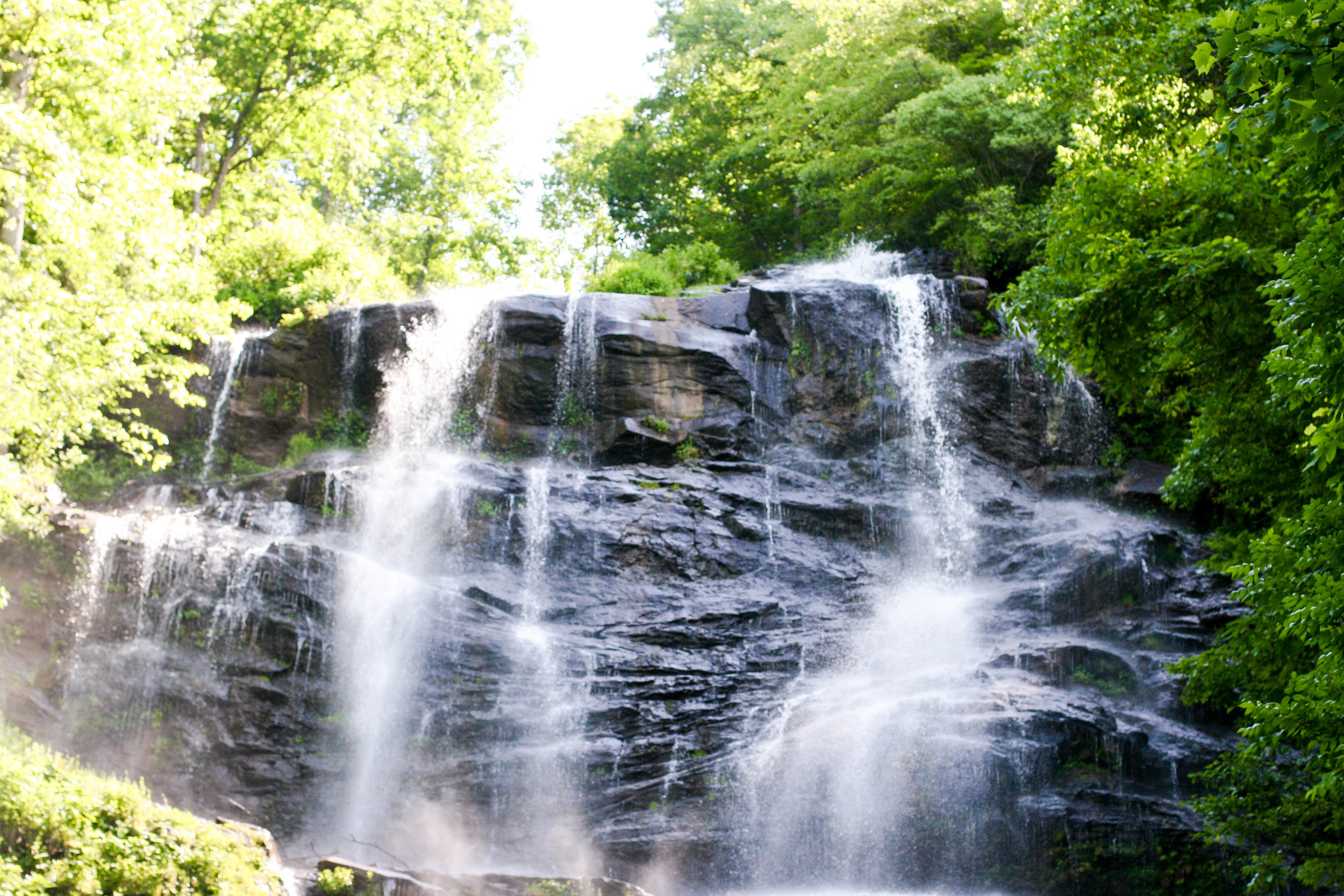 Amicalola Falls State Park, in all it's glory.