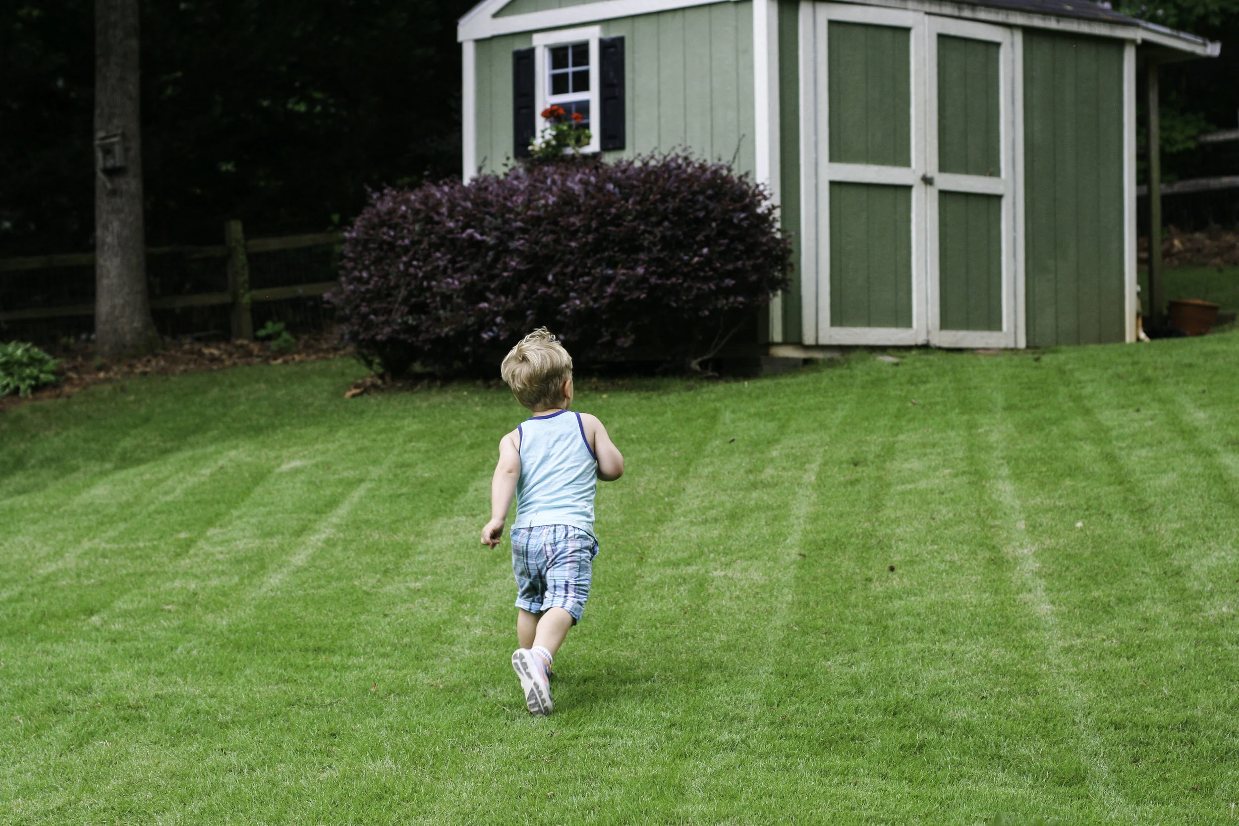 garden1 copy.jpg