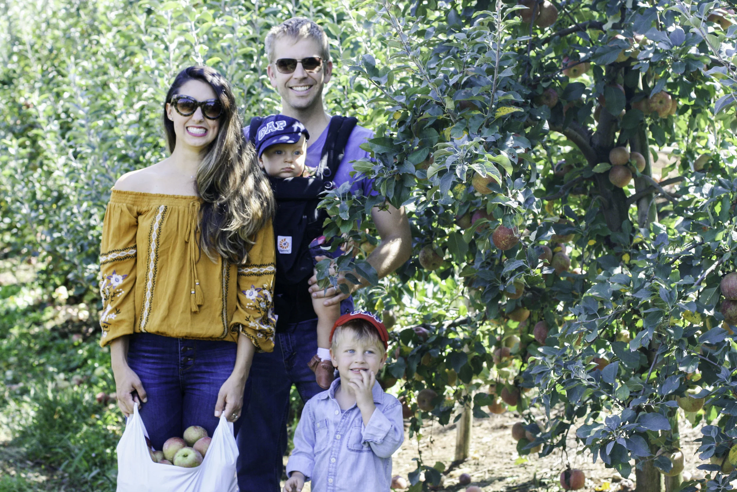 applepicking14.jpg