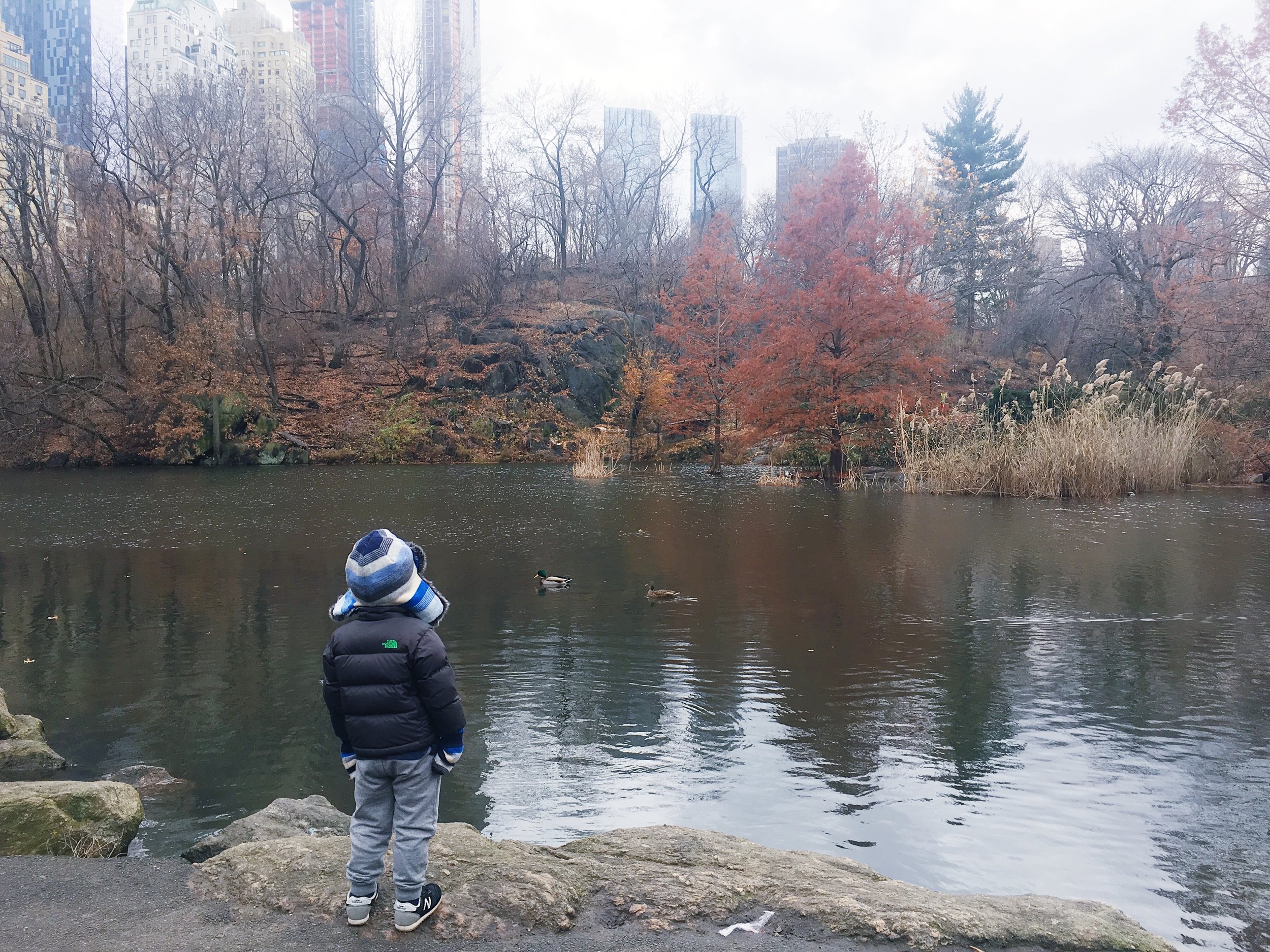 We spent a lot of time at the park. He's a man after my own park heart.