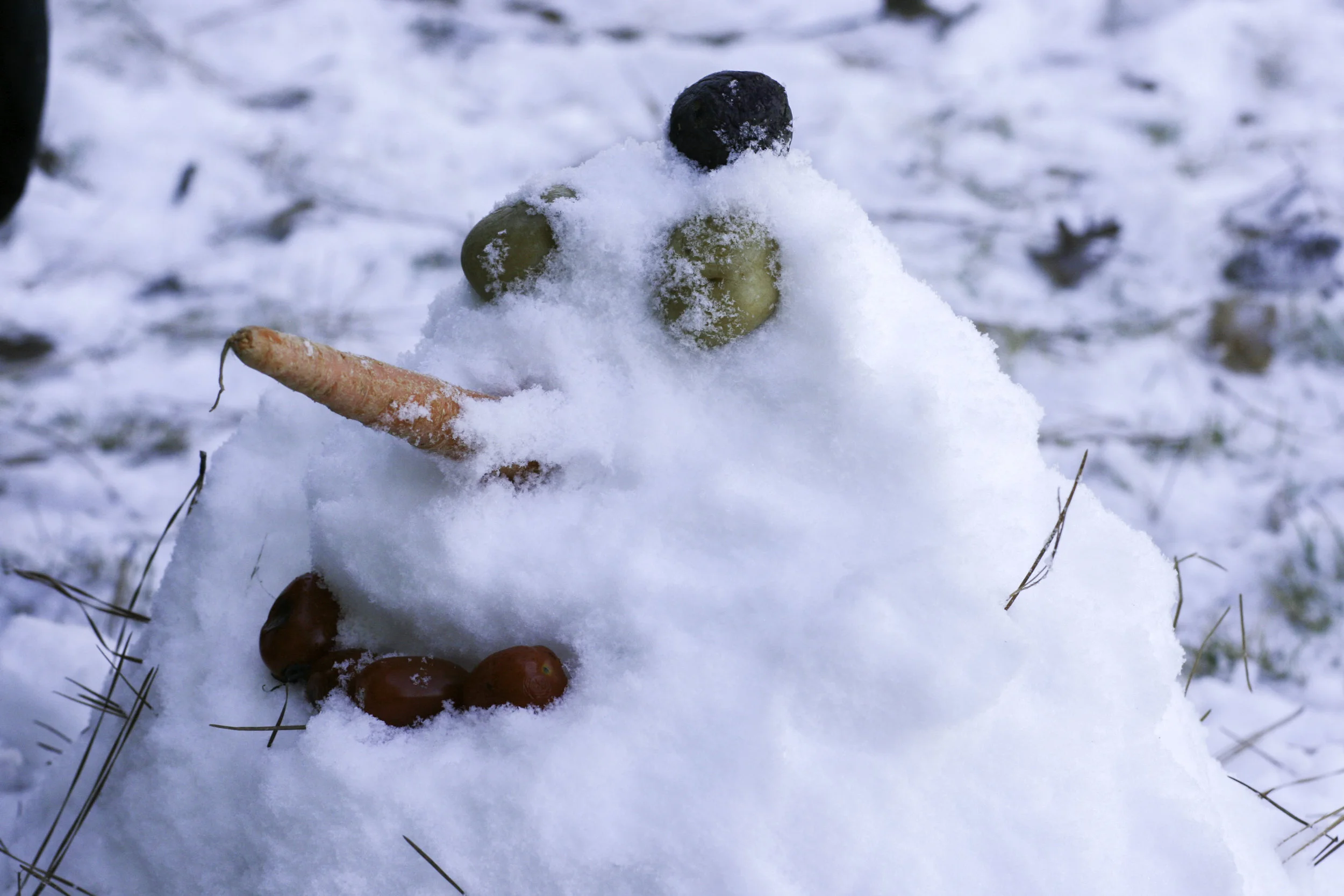 snow day8.jpg
