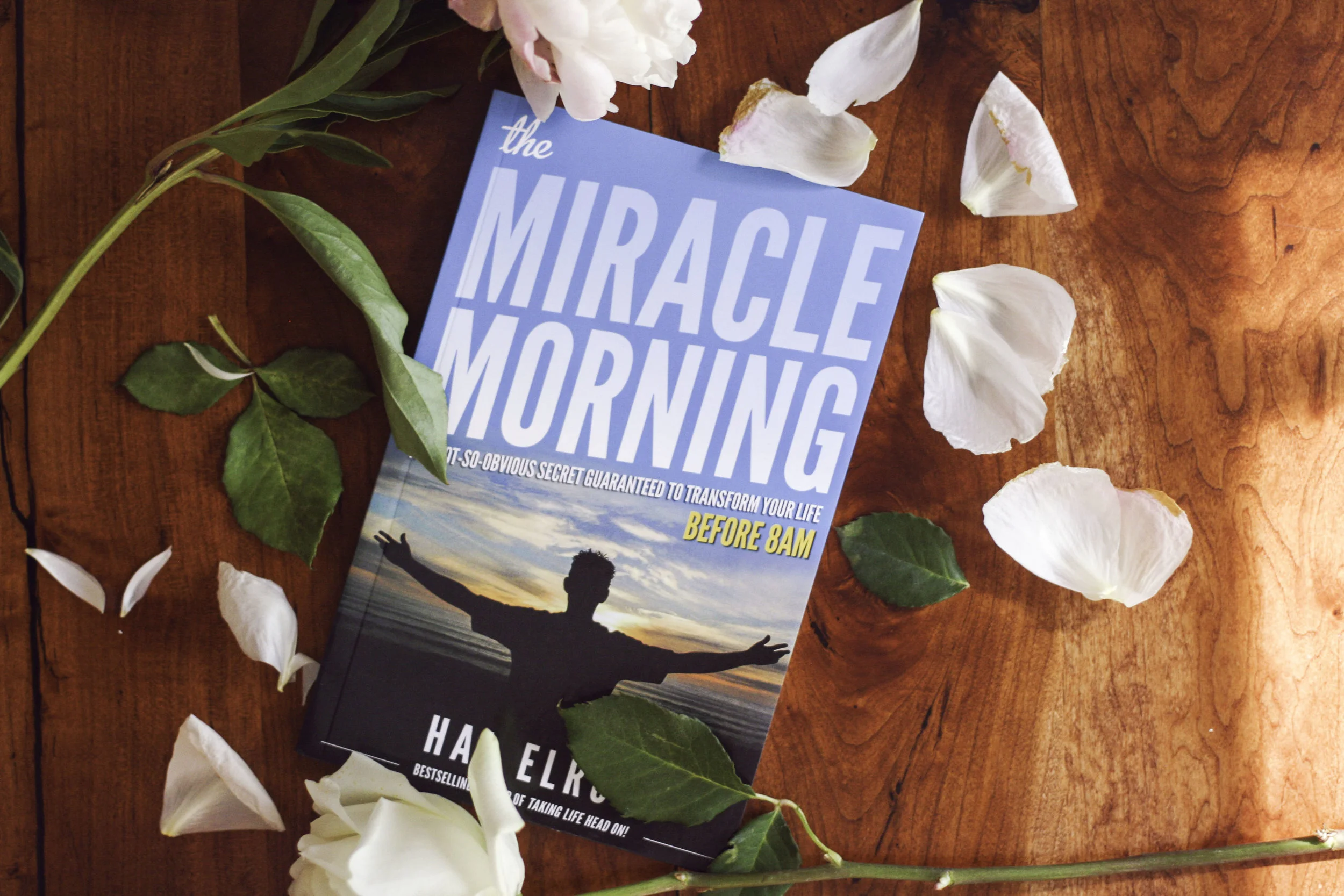 The Miracle Morning.jpg