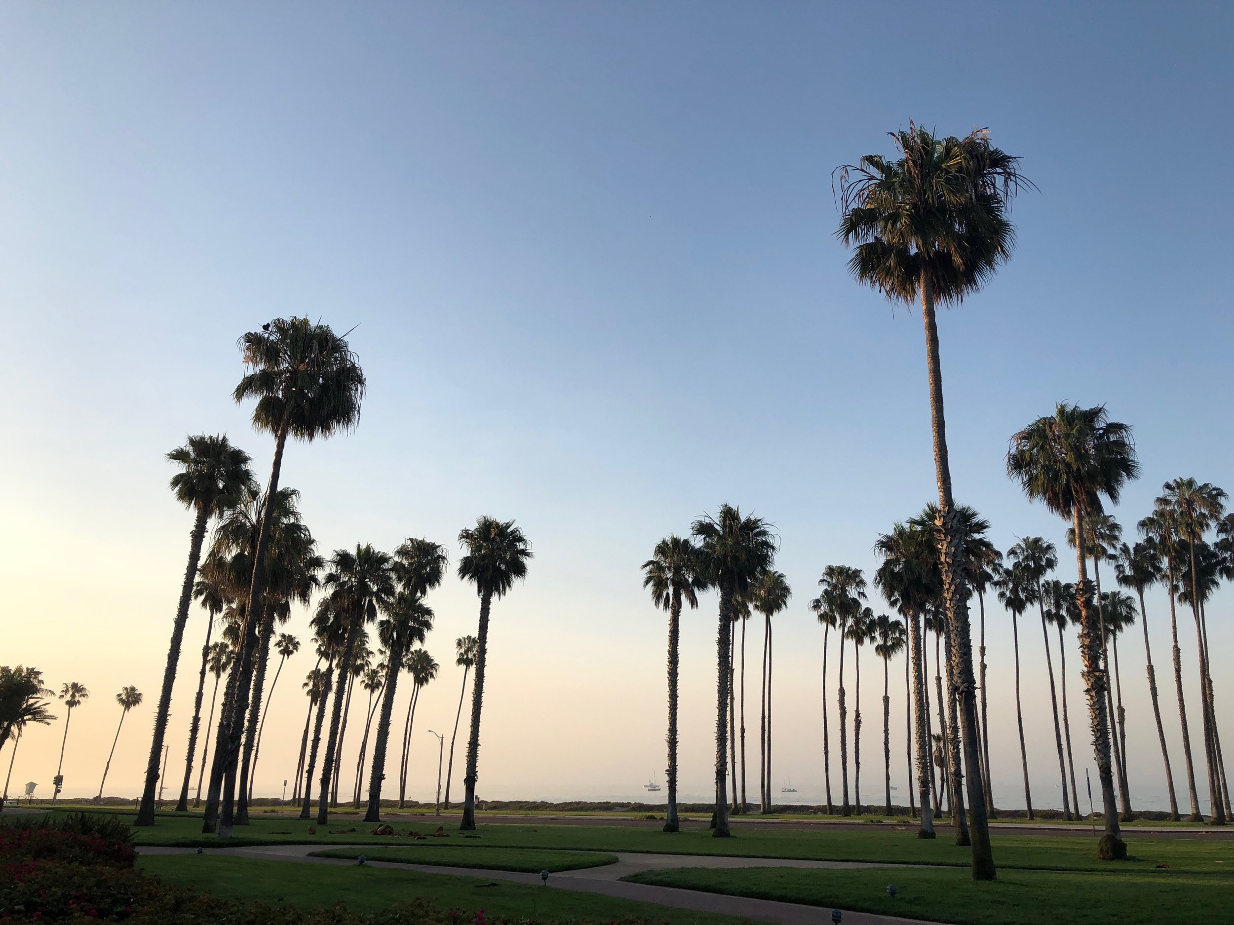 I mean, this photo is stupid pretty. Can you see the boats in the distance? I can't handle this view. Like, I want to take everyone I know and love back to SB just for this view. The Earth is so beautiful I could cry.