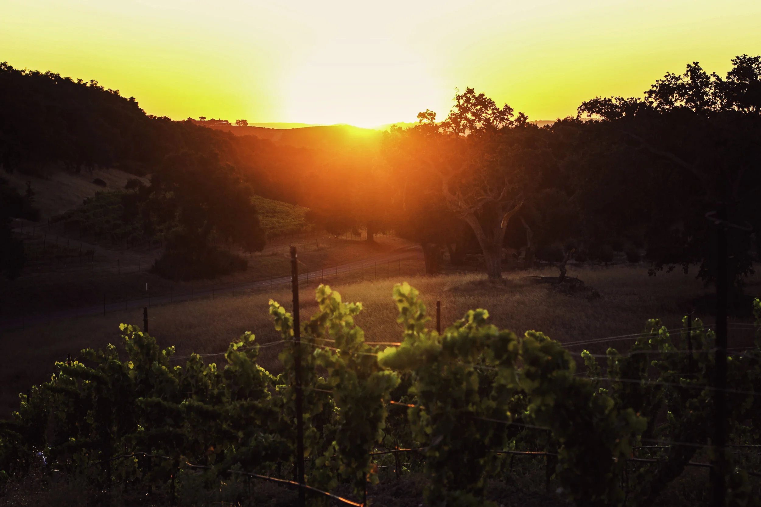 sunrise4.jpg
