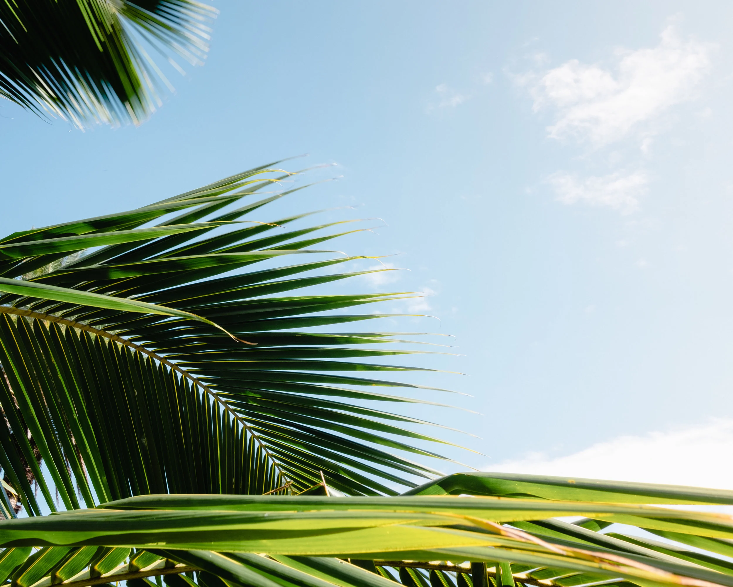 Hawaii -60.jpg