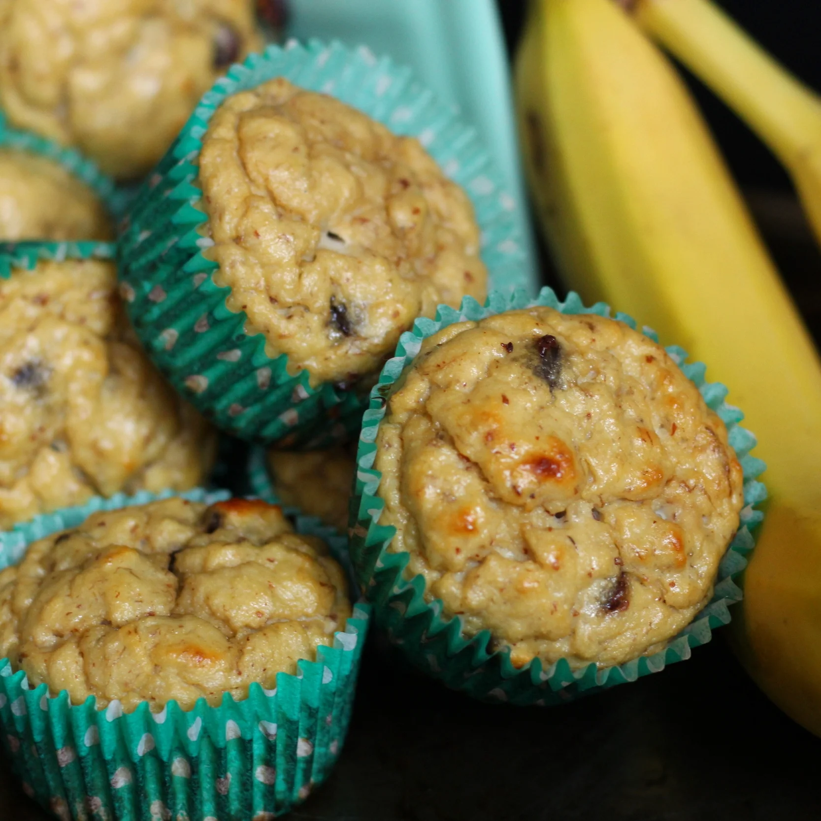 Banana Chocolate Chip Protein Muffins