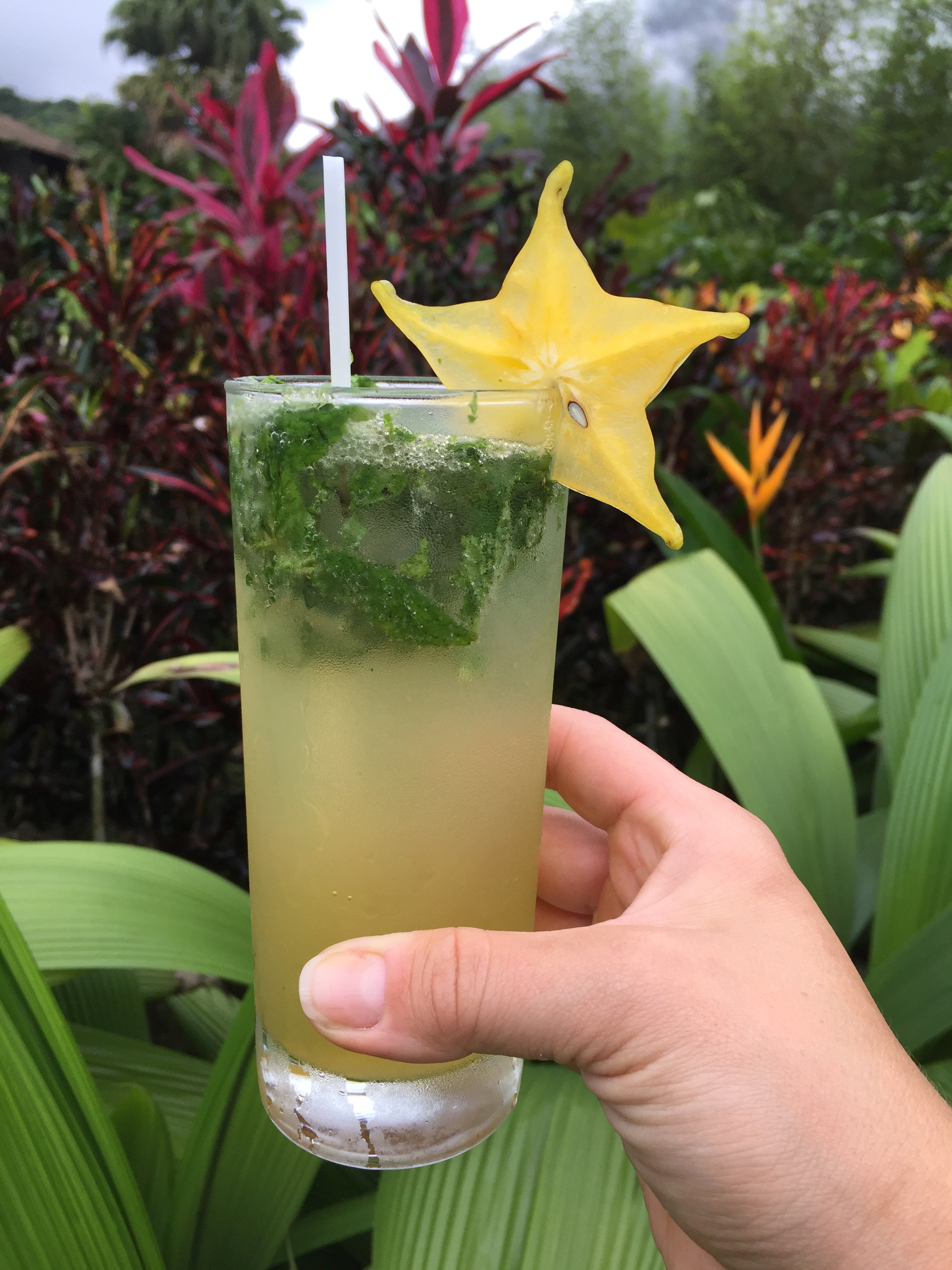 Mojito