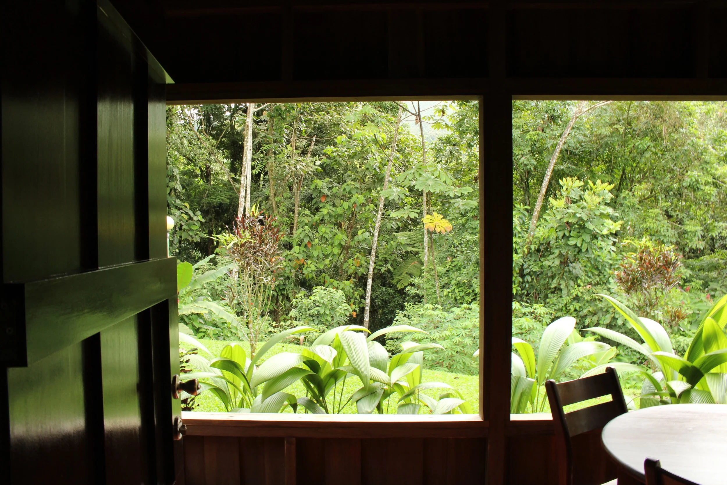 View from Bungalow
