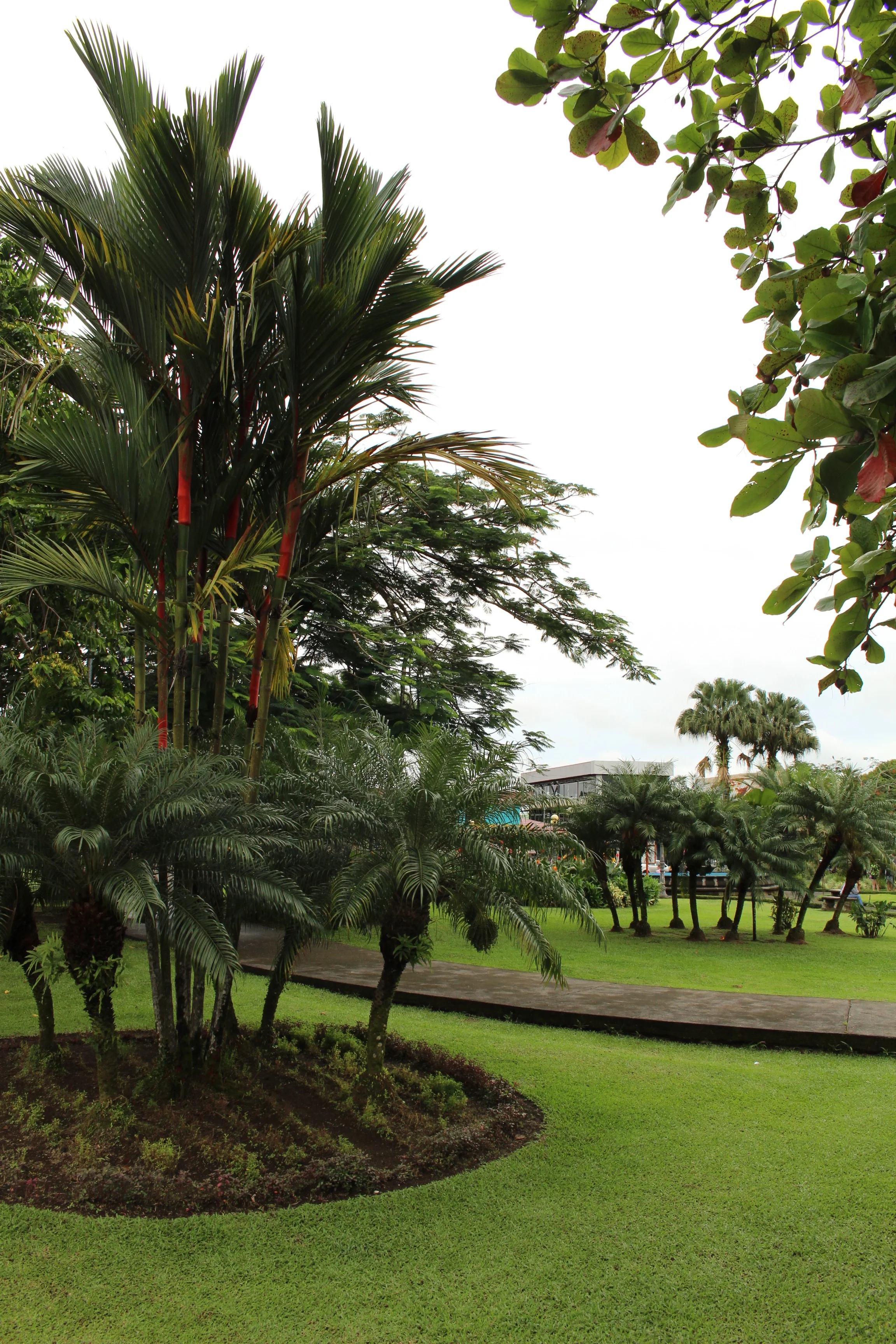 Parque de La Fortuna