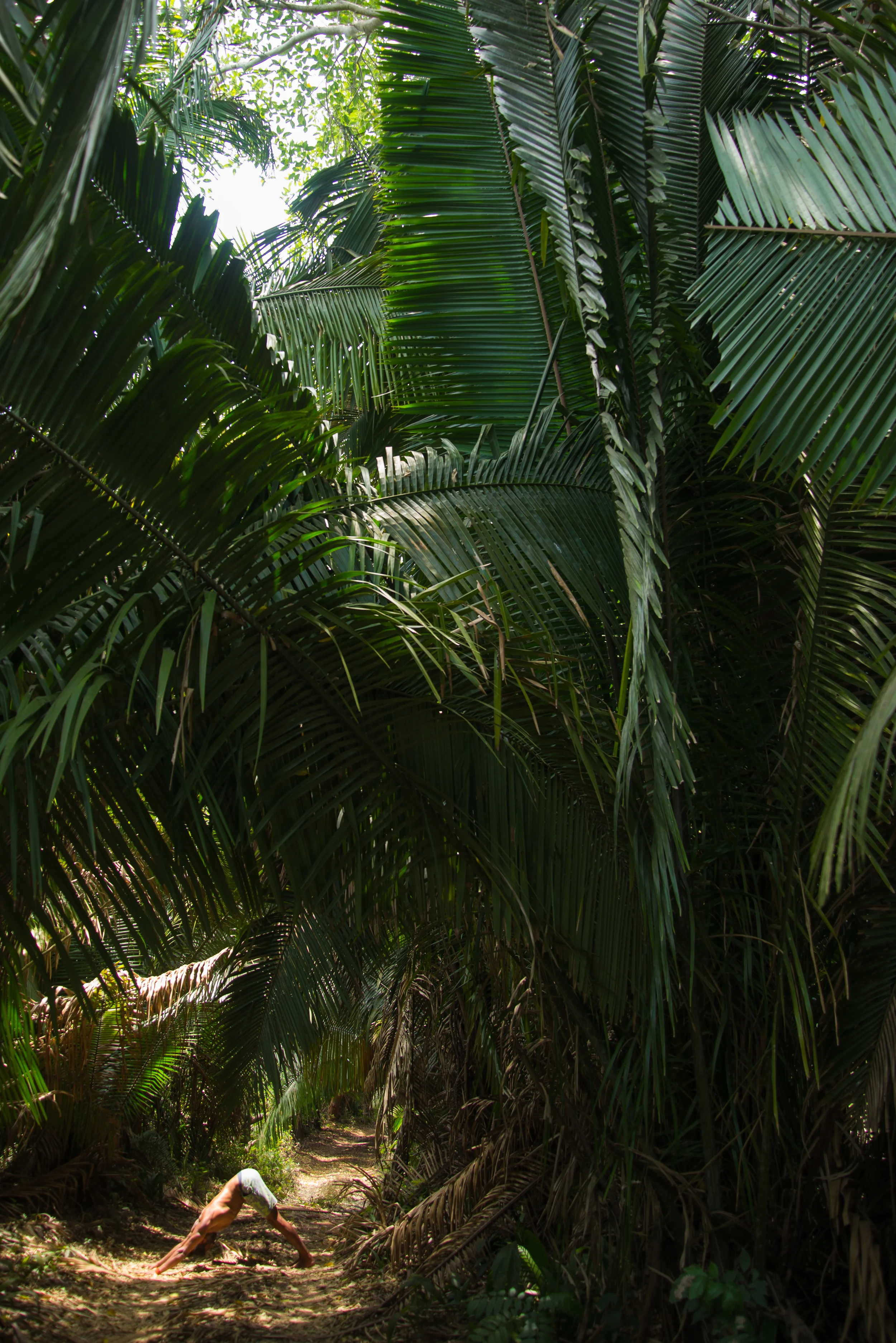 Back in the Bush