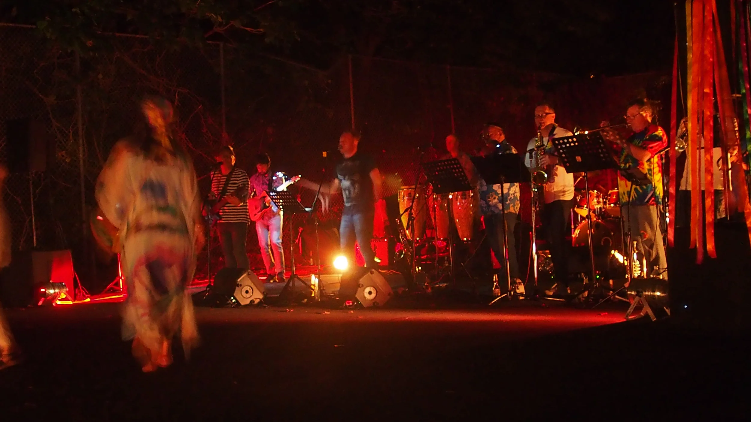 Cheryl-Lynn's Woodstock Birthday Party!!