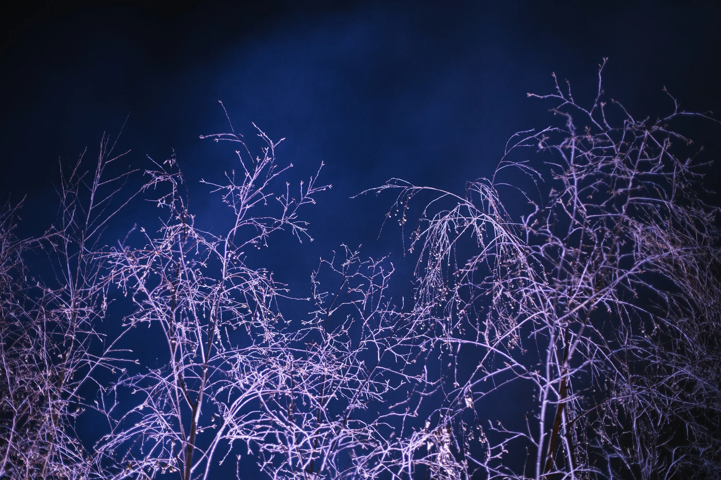 Hendricks_DarkMofo2015_LR-92.jpg