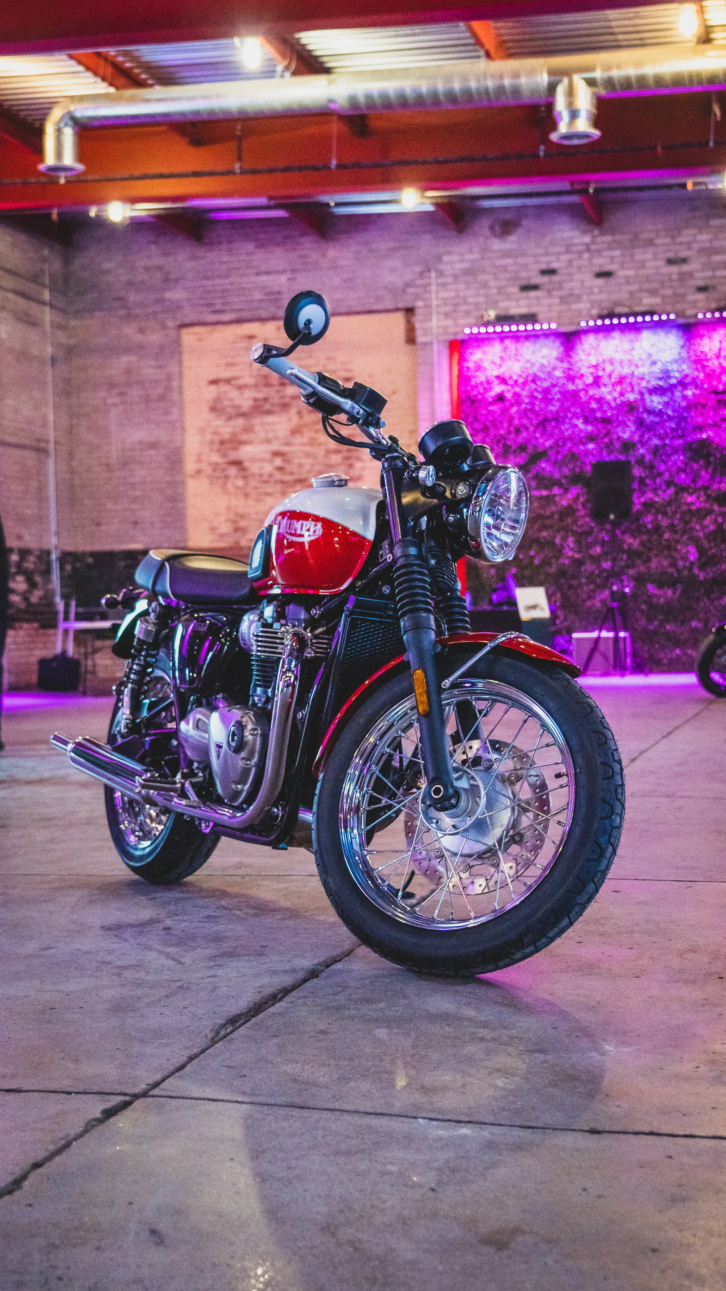 JBBurtoni2_JBB01182_November 22, 2019_3033 x 5392-2.jpg