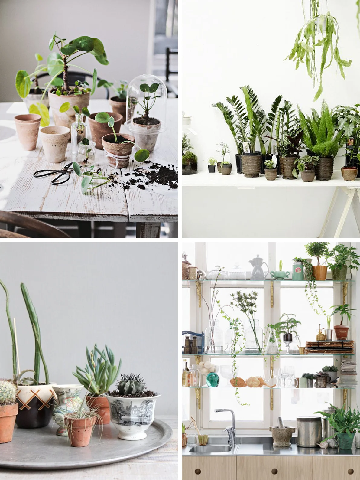 huntinglouise_greenery2.jpg