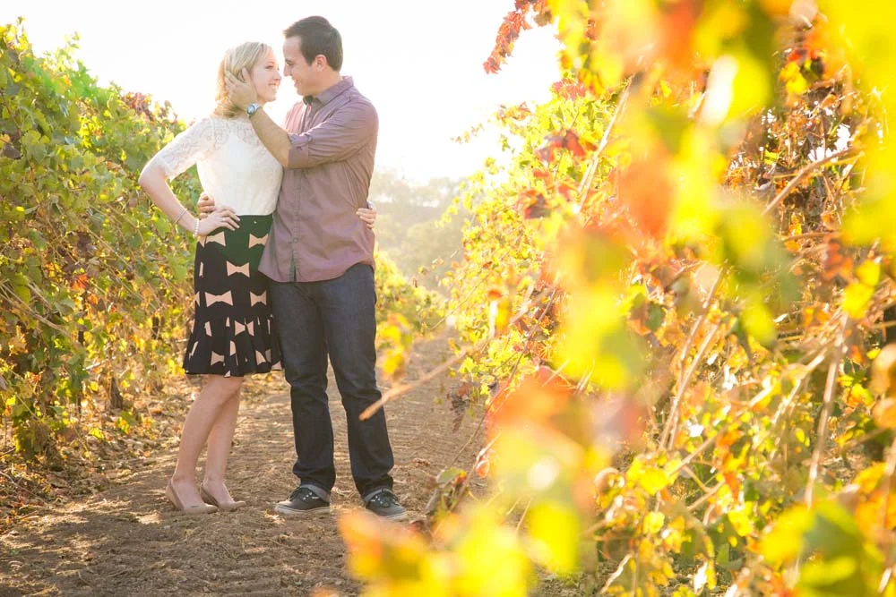 Engagements 043.jpg