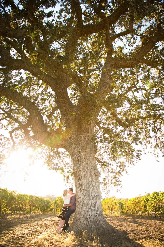 Engagements 110.jpg