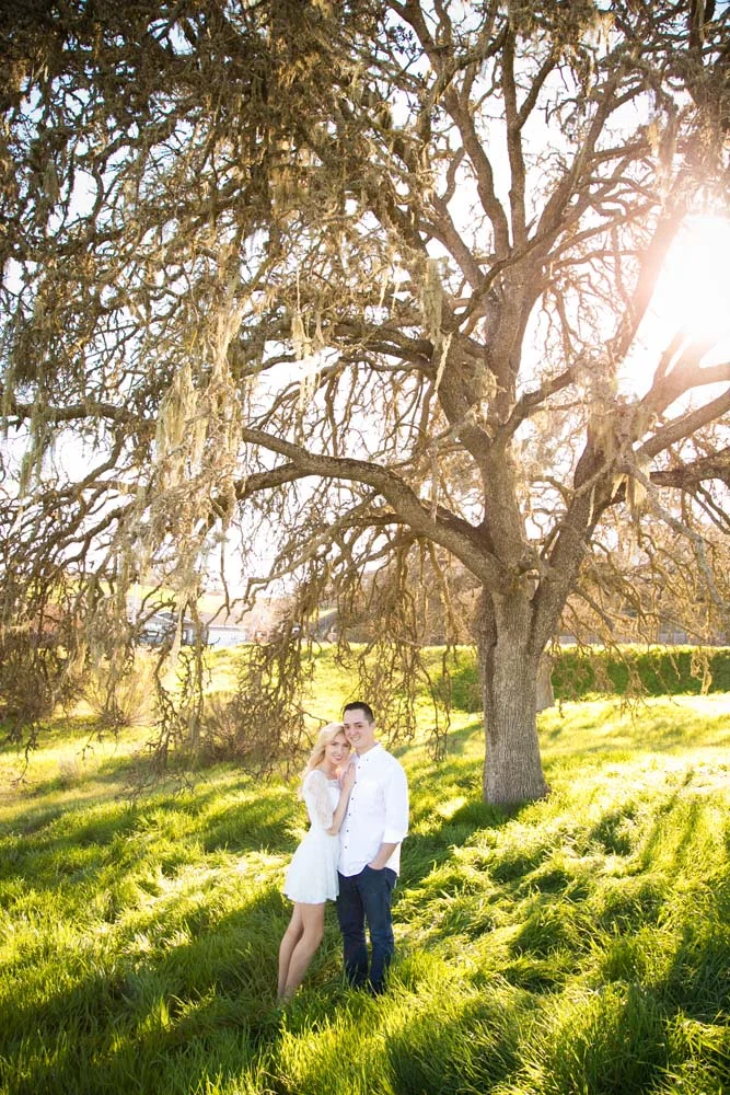 Engagements 003.jpg