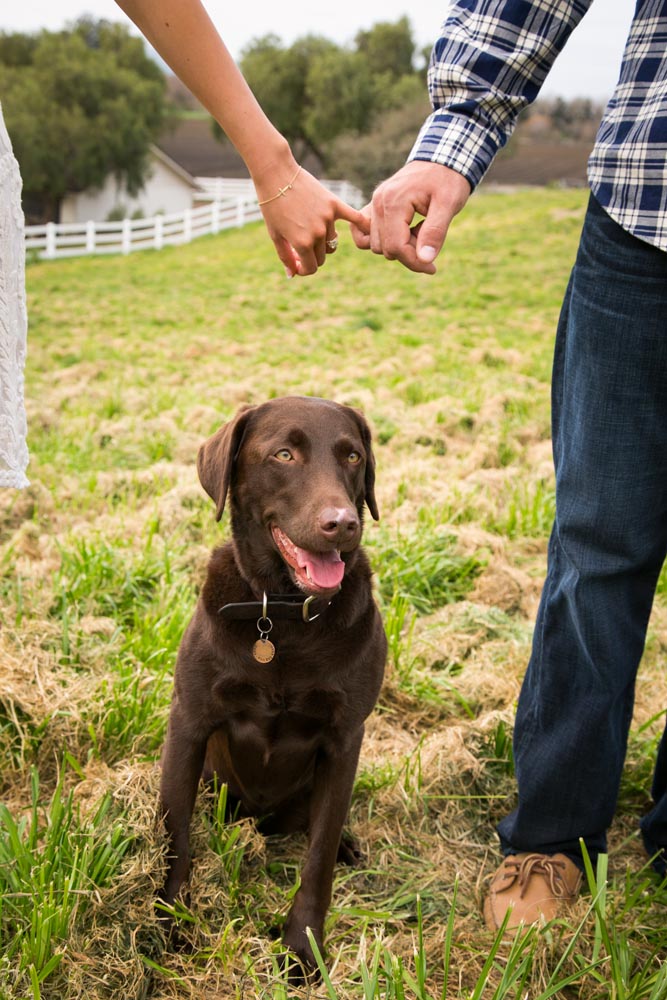 Greengate Ranch and Vineyard Engagement Sessions015.jpg