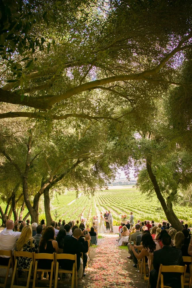 Still Waters Vineyards Wedding048.jpg