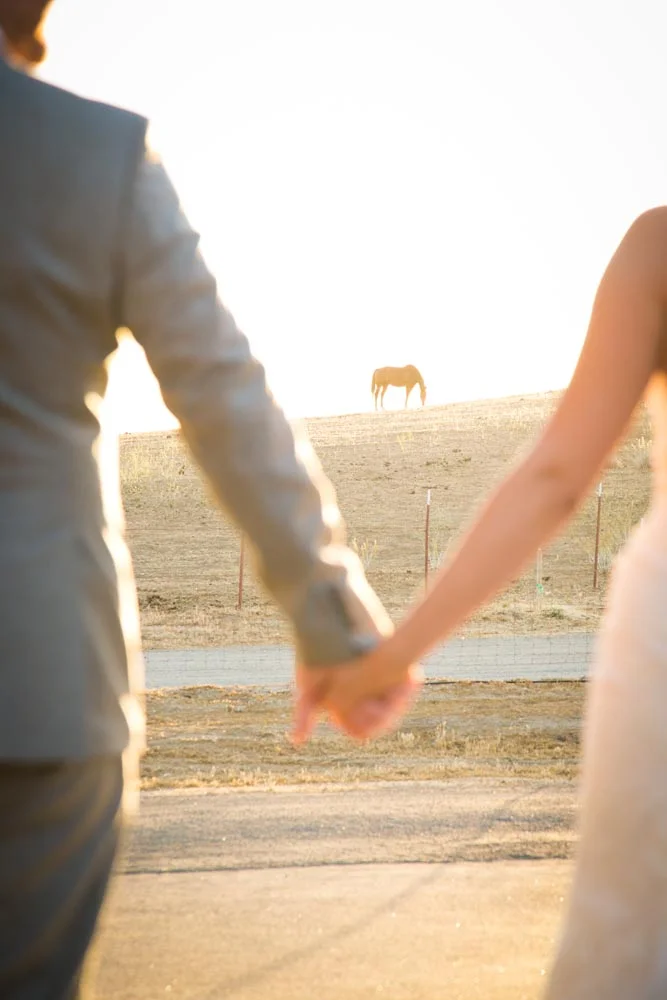 Still Waters Vineyards Wedding087.jpg