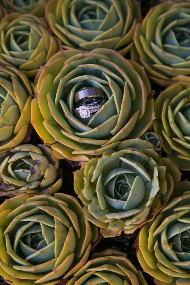 Edwards Barn Wedding068.jpg